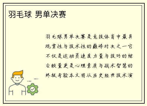 羽毛球 男单决赛